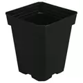 Gro Pro Black Plastic Pot 5 in x 5 in x 6.5 in