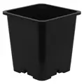 Gro Pro Premium Black Square Pot 9 in x 9 in x 10.5 in (100/Cs)