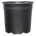 Thermoformed Nursery Pot 2 Gallon