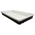 Mondi Black & White Premium 10 x 20 Propagation Tray (50/Cs)