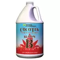 GH Cocotek Bloom B Gallon (4/Cs)