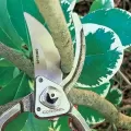 Corona 1" ClassicCUT Hand Pruner
