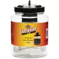 Starbar Captivator Fly Trap