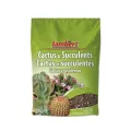 Lambert 4qt Cacti & Succulent 12/CS