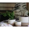 Jewel 6" Mug Pot IVS
