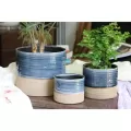 Jewel 6" Mug Pot NTB