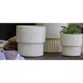 Jewel 7" Martini Pot Ivs