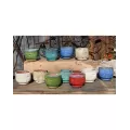 PHG Finger Succulent Cup Mixed Set of 12