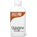 QP Quinclorac 75DF 1lb (6/CS) ( Quinclorac )