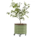 Vego Garden Self-Watering Rolling Planter Olive Green
