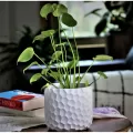 Fiesta Art Decor 4.5" Round Pot