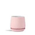 PHG 8"x7.5" Hand Rolled Pot With Attached Saucer Sand Pink