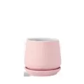 PHG 6.5"x6.5" Hand Rolled Pot With Attached Saucer Sand Pink