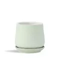 PHG 6.5"x6.5" Hand Rolled Pot With Attached Saucer Sand Sage Green