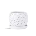 PHG Rain Drop Orchid Planter Bright White