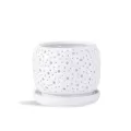 PHG 6"x5.5" Rain Drop Orchid Planter Bright White