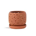 PHG 6"x5.5" Rain Drop Orchid Planter Sand Canyon Clay