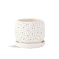 PHG 7.5"x6.5" Rain Drop Orchid Planter Sand Milky White