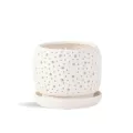PHG 6"x5.5" Rain Drop Orchid Planter Sand Milky White