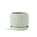 PHG 6"x5.5" Rain Drop Orchid Planter Sand Sage Green