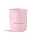 PHG 6.5"X6.5" Urban Dweller Self-Watering Pot Pastel Baby Pink