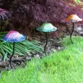 E-V LunaLite Mushroom Dual Purpose Light Asst