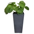Austram 11" x 6" x 20" Vizcaya Vase Anchor Grey