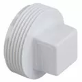 Dwv-Pvc Male Plug 2"