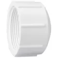 1" Cap PVC Sch. 40 FPT | 448-010