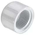 Sch. 40 PVC Cap 6" FIPT | 448-060