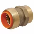 Adapter, 3/4"Push x Female Brass P703 Series