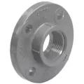 3" Flange PVC Sch. 80 FPT | 852-030
