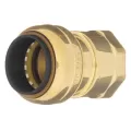 Adapter, 1-1/2" Solder Cup x FNPT 203 Series TecTite Push-Fit, Lead Free Brass