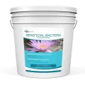 Beneficial Bacteria, 1 gal Cold Water