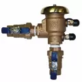 Febco 765 PVB Backflow Preventer 1" FPT