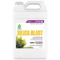 SILICA BLAST 1GAL