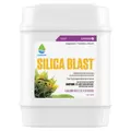 PURE BLEND TEA 5GAL/1