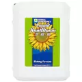 GH Liquid KoolBloom 6 Gallon