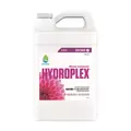 HYDROPLEX BLOOM 1GAL