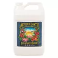 Mother Earth LiquiCraft Bloom 2-4-4 1GAL/4