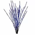 LED Light Burst, 36" Blue Low Voltage