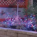 LED Light Burst, 36" Red Pure White Blue Patriotic Low Voltage