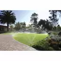 Hunter MP Rotator Nozzle 8' to 15' Full Circle 0.4 in/hr Precipitation Rate Male Threaded Olive | MP1000HT360