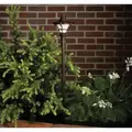 Path Light, 1 W Wedge T5 LED Aged Bronze Aluminum