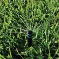 K Rain Rotary Nozzle 19' Adjustable Medium Blue | RN200-ADJ-90-270