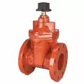 3" Flanged Ductile Iron 250 psi F-619-RWS-SON Series Gate Valve | NIBF619RWSSON030