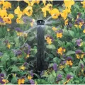 Rain Bird MPR Center Strip Nozzle 15' Fixed Part Circle | A47007