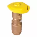 1" NPT Red Brass 5 - 125 psi 44LRC Series 2-Piece Quick Coupling Valve | RBL44LRC