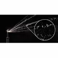 Rain Bird R-VAN Right Corner Strip Rotary Nozzle 5' x 15' | A84668