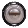 Rain Bird R-VAN Side Strip Rotary Nozzle 5' x 30' | A84669